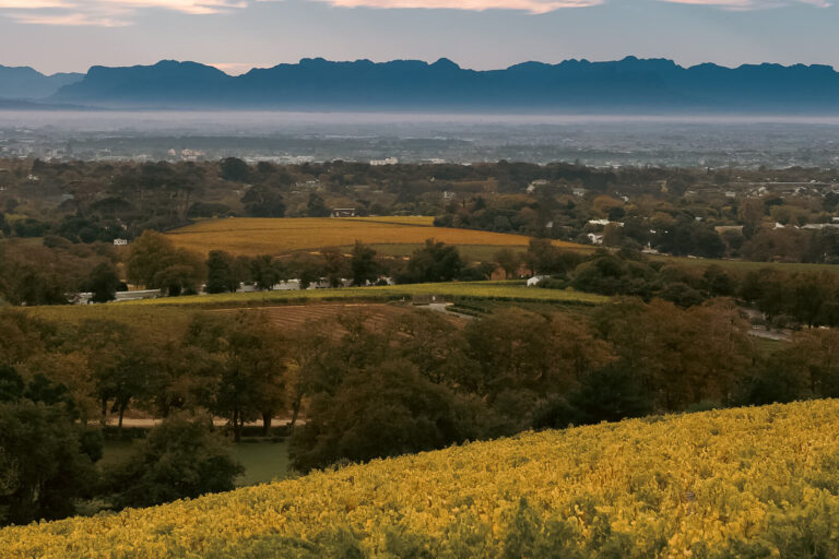 Franschhoek - wanza tours - guided tours in south africa