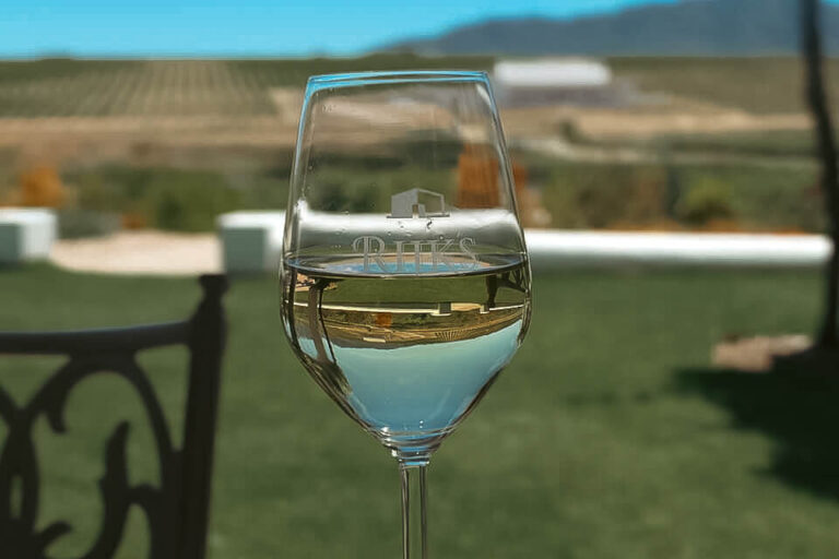 wine-tasting