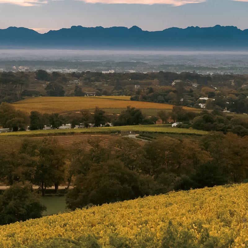 Franschhoek - wanza tours - guided tours in south africa